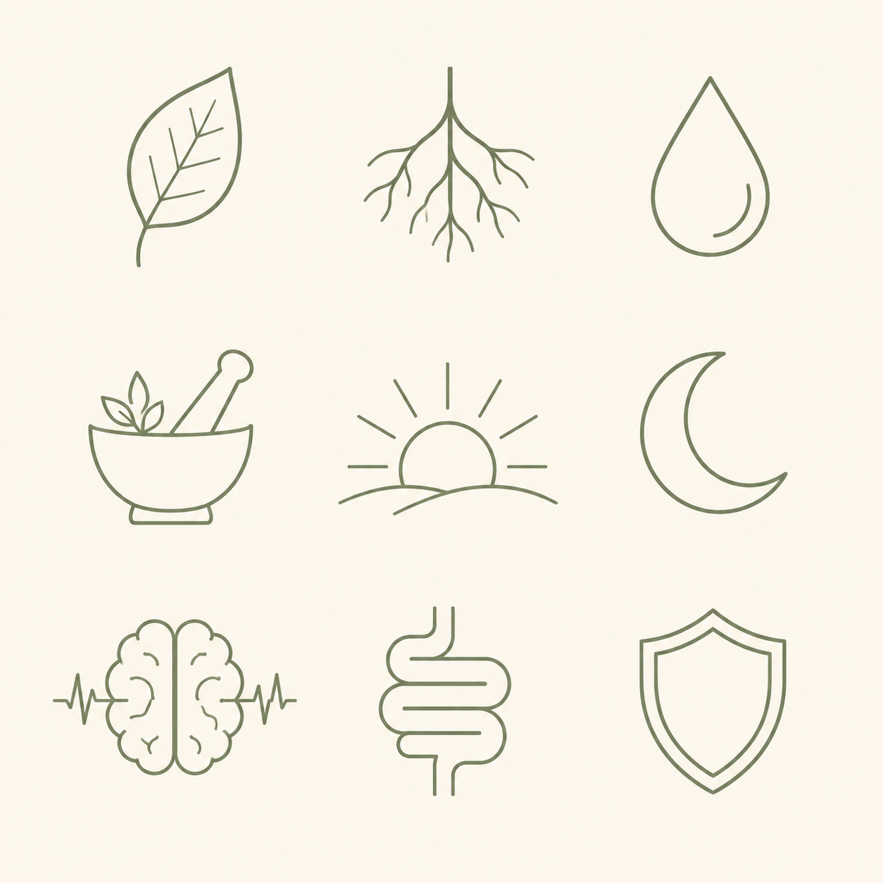 Overzicht van botanicale kruiden-iconen